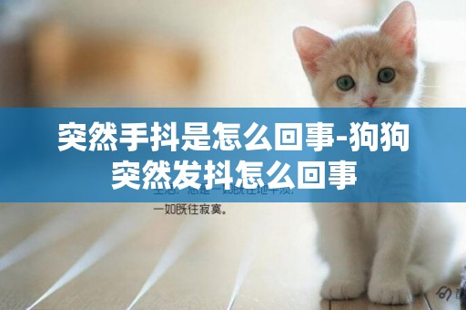 突然手抖是怎么回事-狗狗突然發抖怎么回事