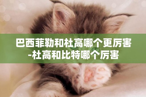 巴西菲勒和杜高哪個更厲害-杜高和比特哪個厲害
