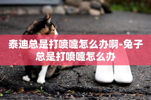 泰迪總是打噴嚏怎么辦啊-兔子總是打噴嚏怎么辦