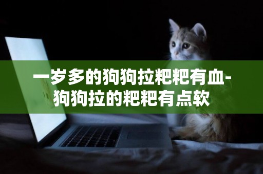 一歲多的狗狗拉粑粑有血-狗狗拉的粑粑有點軟