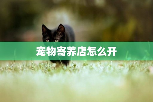 寵物寄養店怎么開