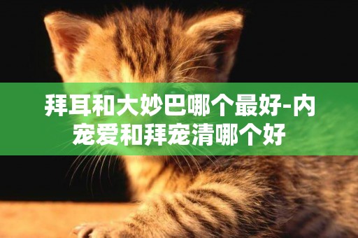 拜耳和大妙巴哪個最好-內寵愛和拜寵清哪個好