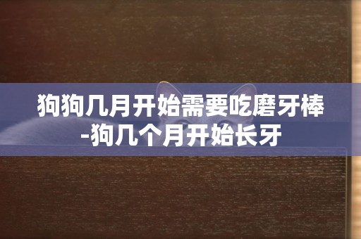 狗狗幾月開始需要吃磨牙棒-狗幾個月開始長牙