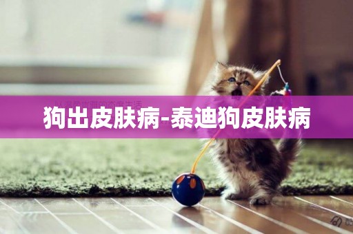 狗出皮膚病-泰迪狗皮膚病