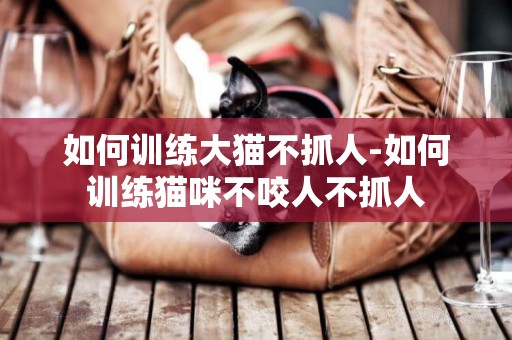 如何訓練大貓不抓人-如何訓練貓咪不咬人不抓人