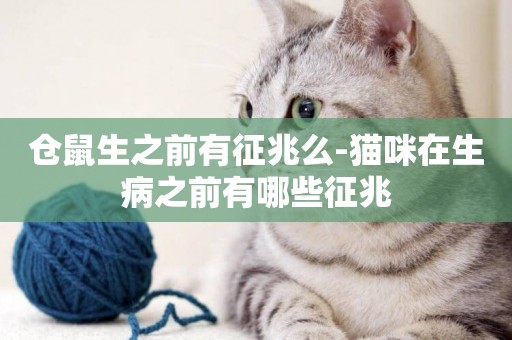 倉鼠生之前有征兆么-貓咪在生病之前有哪些征兆