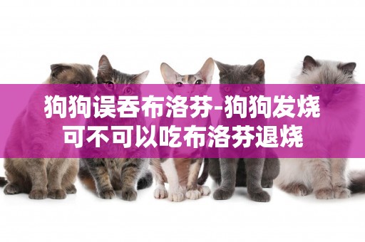 狗狗誤吞布洛芬-狗狗發燒可不可以吃布洛芬退燒