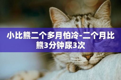 小比熊二個多月怕冷-二個月比熊3分鐘尿3次