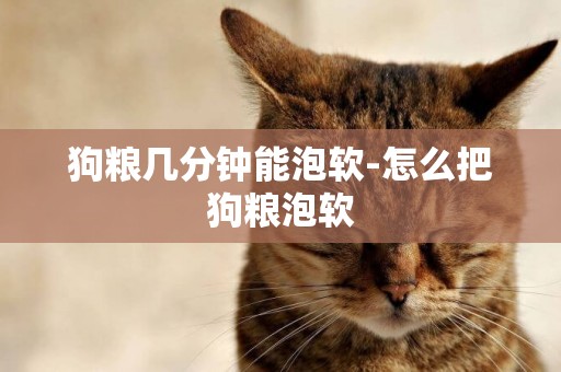 狗糧幾分鐘能泡軟-怎么把狗糧泡軟