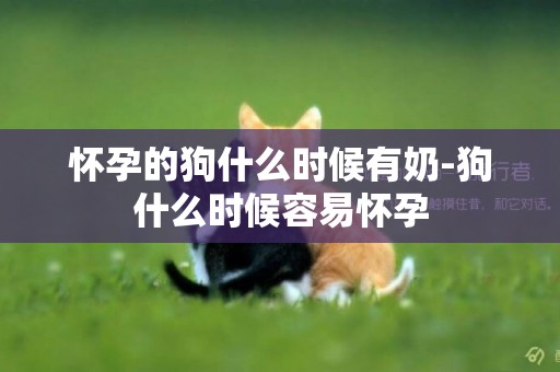 懷孕的狗什么時候有奶-狗什么時候容易懷孕