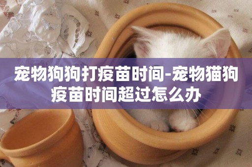 寵物狗狗打疫苗時間-寵物貓狗疫苗時間超過怎么辦