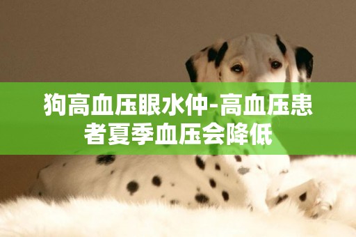 狗高血壓眼水仲-高血壓患者夏季血壓會降低