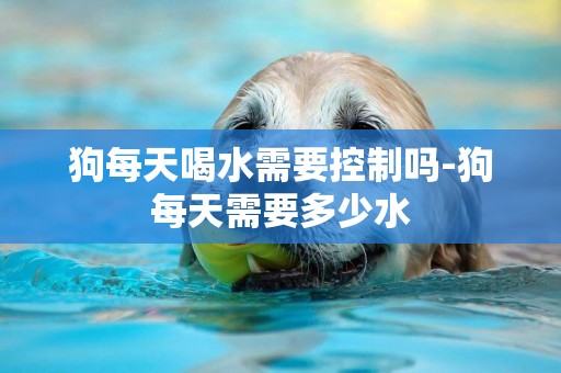 狗每天喝水需要控制嗎-狗每天需要多少水
