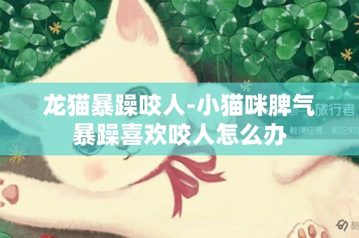 龍貓暴躁咬人-小貓咪脾氣暴躁喜歡咬人怎么辦
