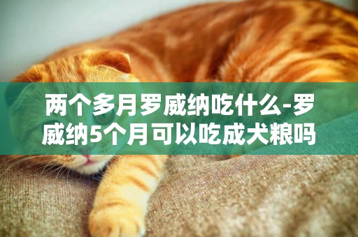 兩個多月羅威納吃什么-羅威納5個月可以吃成犬糧嗎