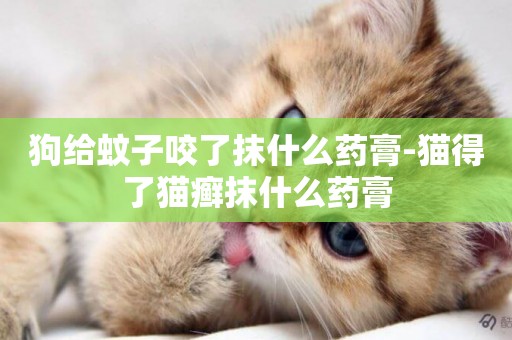 狗給蚊子咬了抹什么藥膏-貓得了貓癬抹什么藥膏