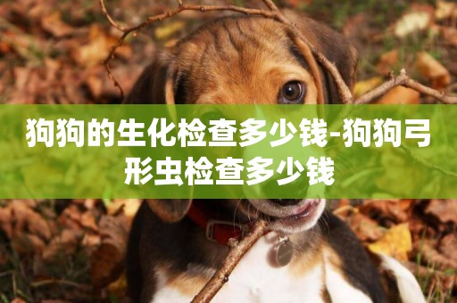 狗狗的生化檢查多少錢-狗狗弓形蟲檢查多少錢