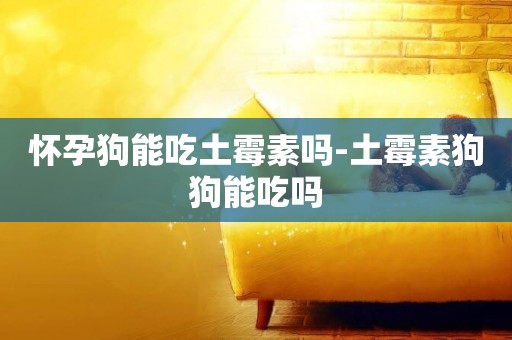 懷孕狗能吃土霉素嗎-土霉素狗狗能吃嗎
