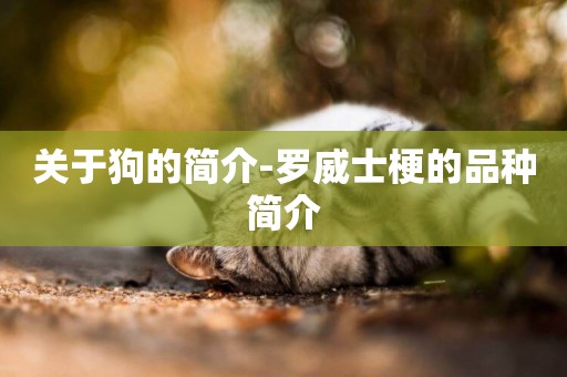 關于狗的簡介-羅威士梗的品種簡介
