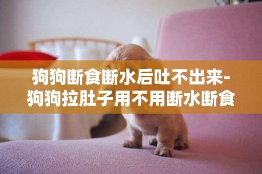 狗狗斷食斷水后吐不出來-狗狗拉肚子用不用斷水斷食