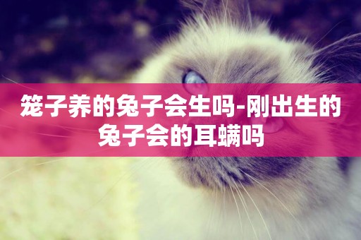 籠子養的兔子會生嗎-剛出生的兔子會的耳螨嗎
