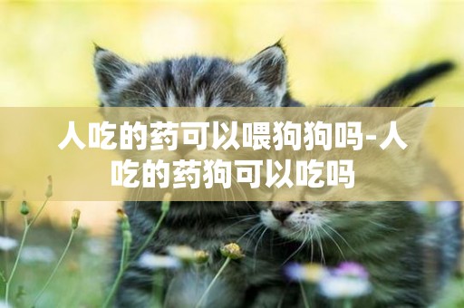 人吃的藥可以喂狗狗嗎-人吃的藥狗可以吃嗎