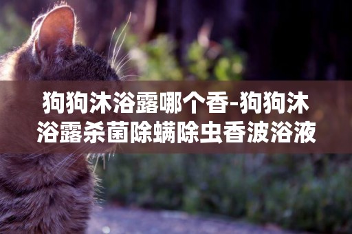 狗狗沐浴露哪個香-狗狗沐浴露殺菌除螨除蟲香波浴液
