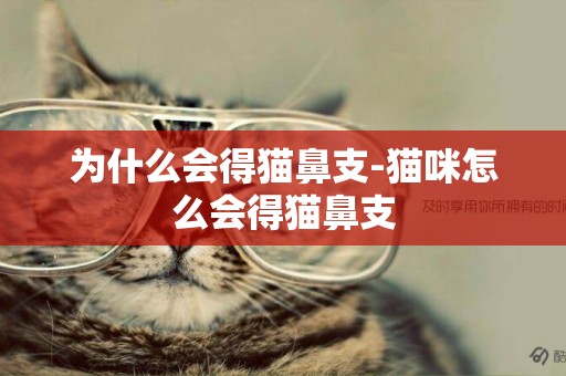 為什么會得貓鼻支-貓咪怎么會得貓鼻支