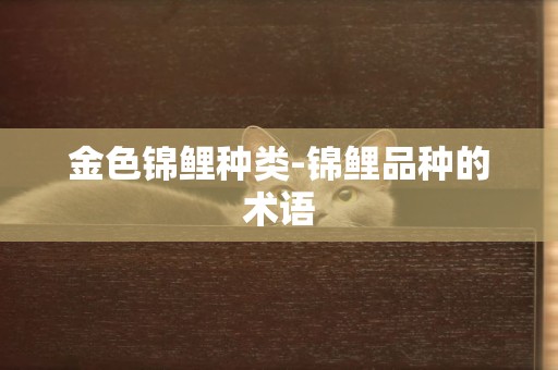 金色錦鯉種類-錦鯉品種的術語