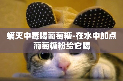 螨滅中毒喝葡萄糖-在水中加點葡萄糖粉給它喝
