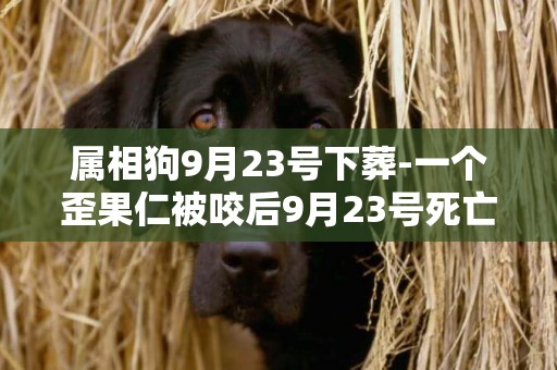 屬相狗9月23號下葬-一個歪果仁被咬后9月23號死亡