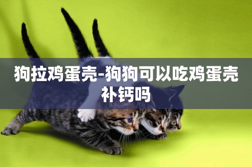 狗拉雞蛋殼-狗狗可以吃雞蛋殼補鈣嗎