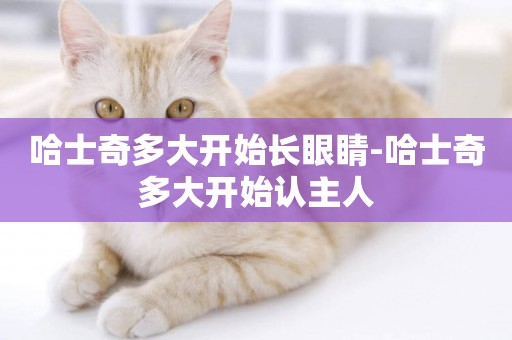 哈士奇多大開始長眼睛-哈士奇多大開始認主人