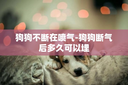 狗狗不斷在噴氣-狗狗斷氣后多久可以埋