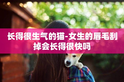 長得很生氣的貓-女生的唇毛刮掉會長得很快嗎
