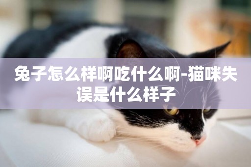 兔子怎么樣啊吃什么啊-貓咪失誤是什么樣子
