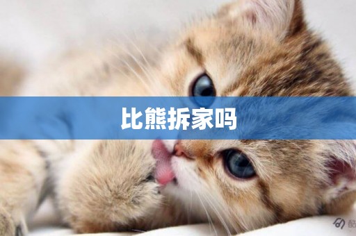 比熊拆家嗎