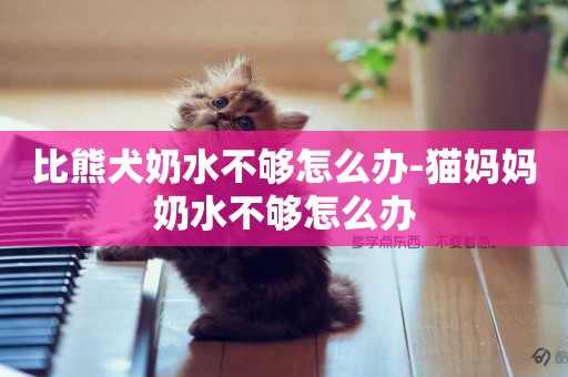 比熊犬奶水不夠怎么辦-貓媽媽奶水不夠怎么辦