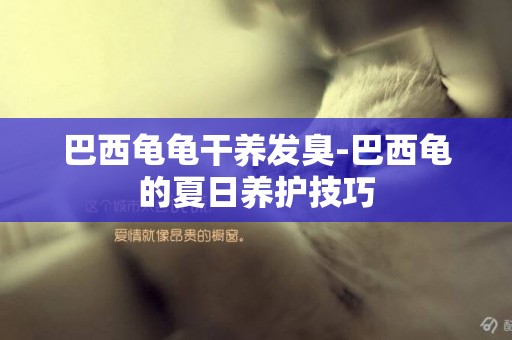 巴西龜龜干養發臭-巴西龜的夏日養護技巧