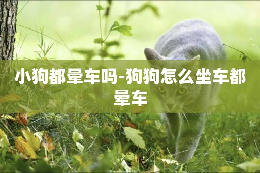 小狗都暈車嗎-狗狗怎么坐車都暈車