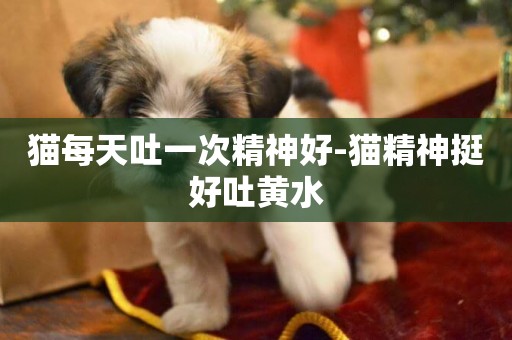 貓每天吐一次精神好-貓精神挺好吐黃水