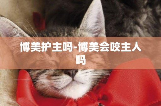 博美護主嗎-博美會咬主人嗎