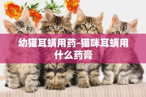 幼貓耳螨用藥-貓咪耳螨用什么藥膏