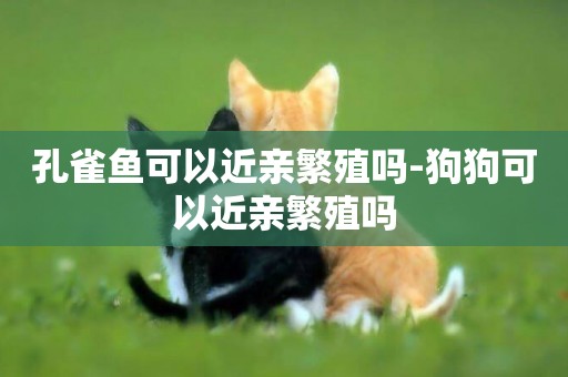 孔雀魚可以近親繁殖嗎-狗狗可以近親繁殖嗎