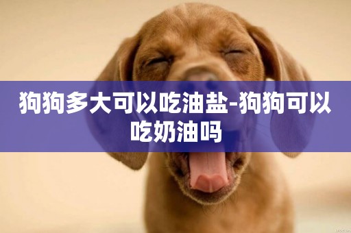 狗狗多大可以吃油鹽-狗狗可以吃奶油嗎