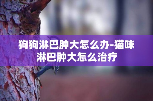 狗狗淋巴腫大怎么辦-貓咪淋巴腫大怎么治療