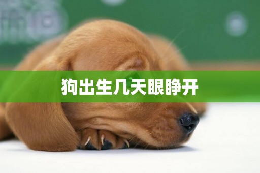 狗出生幾天眼睜開