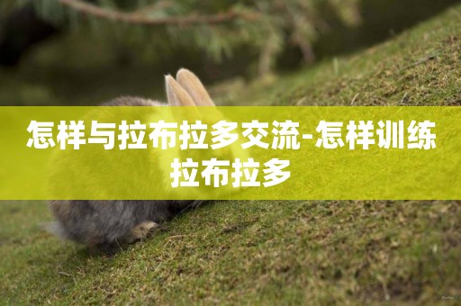 怎樣與拉布拉多交流-怎樣訓練拉布拉多