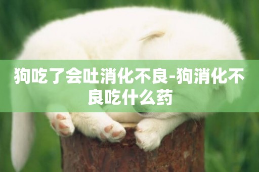 狗吃了會吐消化不良-狗消化不良吃什么藥