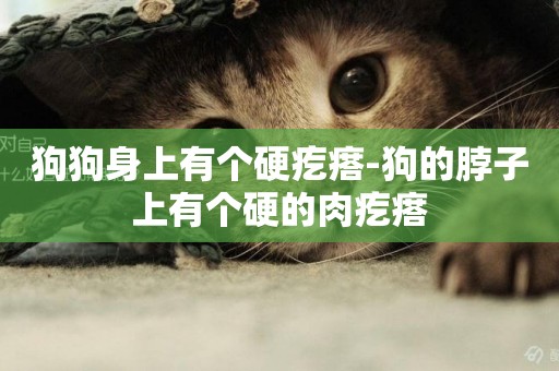 狗狗身上有個硬疙瘩-狗的脖子上有個硬的肉疙瘩
